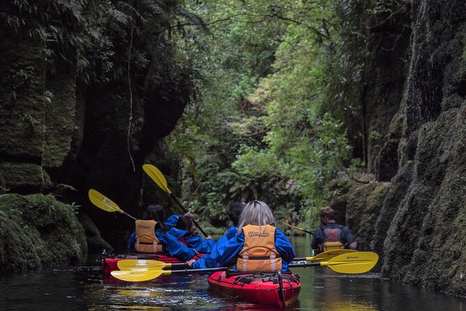 Tauranga: Daytime Scenic Lake McLaren Tour - Inclusions and Additional Costs