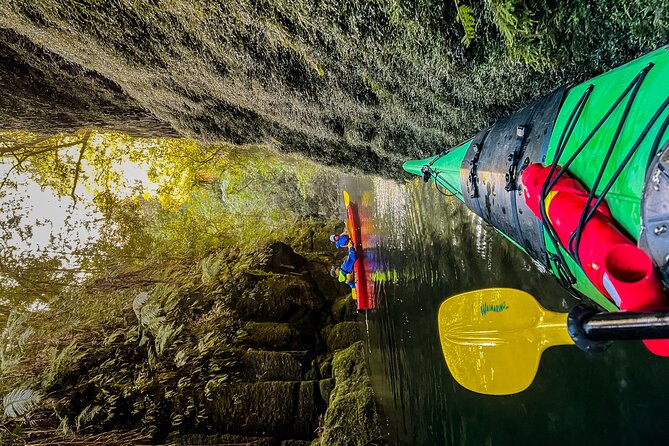 Tauranga: Daytime Scenic Lake McLaren Tour - Meeting Point and Pickup Options