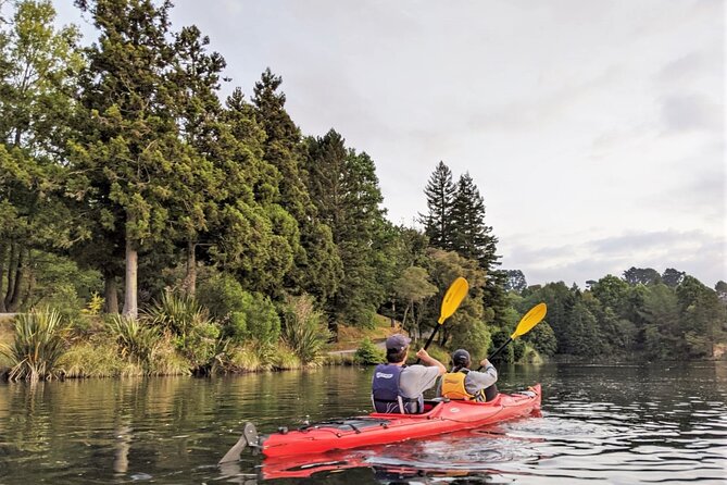 Tauranga: Daytime Scenic Lake McLaren Tour - Booking and Cancellation Policy