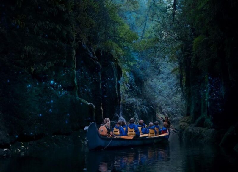 Tauranga: Evening Big Kanu Glowworm Tour - Experience Highlights