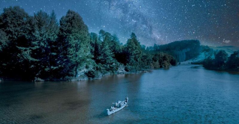 Tauranga: Evening Big Kanu Glowworm Tour - Tour Details