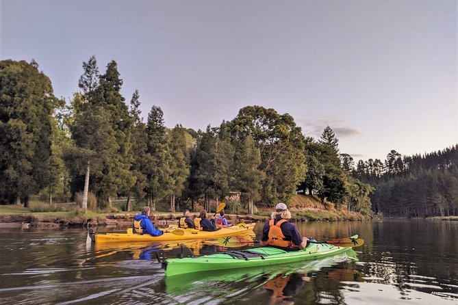 Tauranga: Evening Glowworm Kayak Tour - Key Points