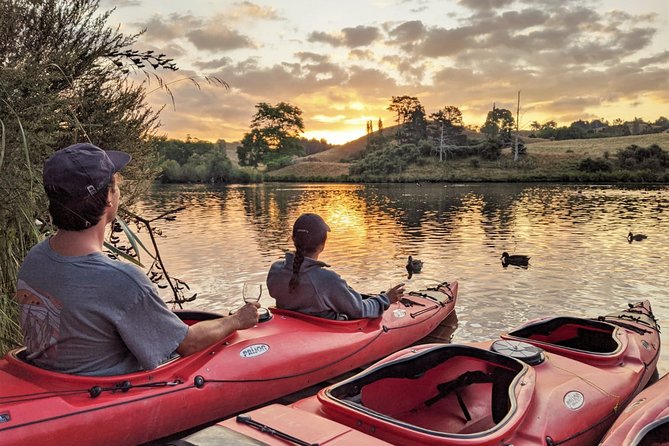 Tauranga: Evening Glowworm Kayak Tour - Customer Feedback