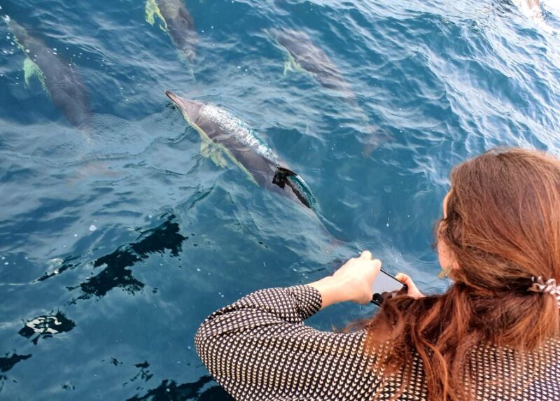 Tauranga: Guided Dolphin and Wildlife Watching Cruise - Onboard Experience