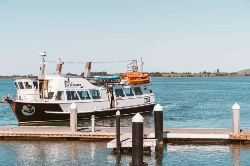 Tauranga Harbour Cruise - Exploring Tauranga Harbour: What to Expect