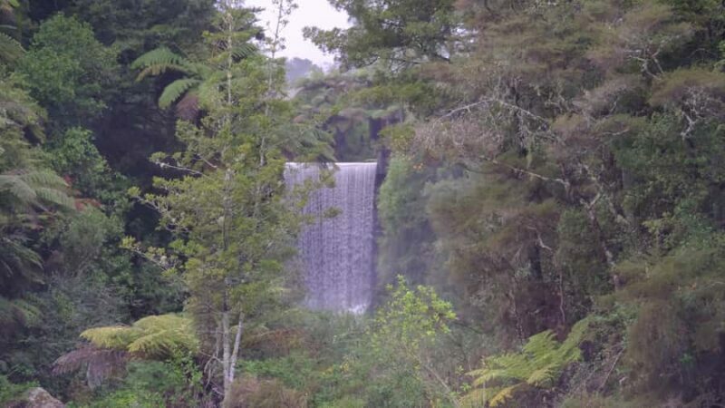 Tauranga: Kiwifruit Destination and Sights Shore Excursion - Key Points