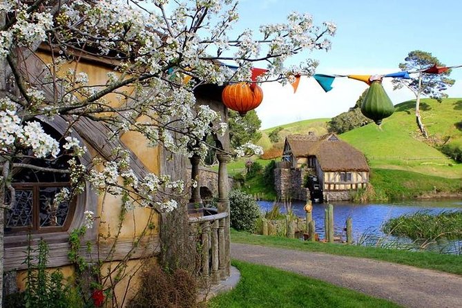 Tauranga - Magical Hobbiton Movie Set - Private Shore Excursion. - Customer Reviews and Ratings