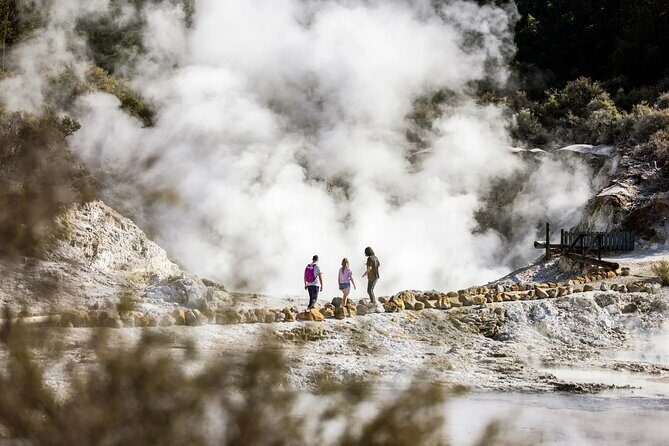 Tauranga Port - Pure Cruise Rotoiti Lake, Glowworms & Hells Gate - Hells Gate Geothermal Reserve & Mud Spa