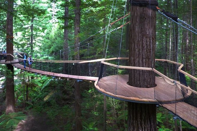 Tauranga-Rotorua: Canopy Tree Walk-Geysers: Private Tour. - Customer Feedback