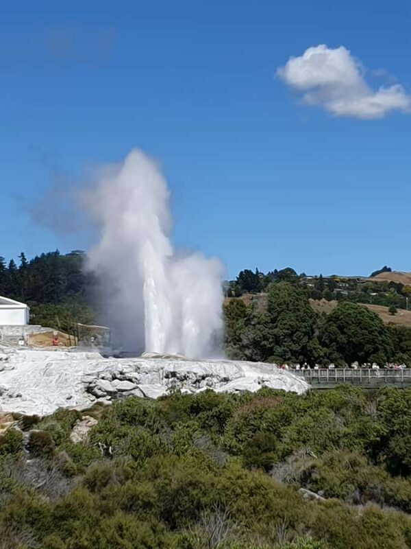 Tauranga: Rotorua Redwoods Tour & Maori Village Experience - Exploring the Itinerary: What You Can Expect