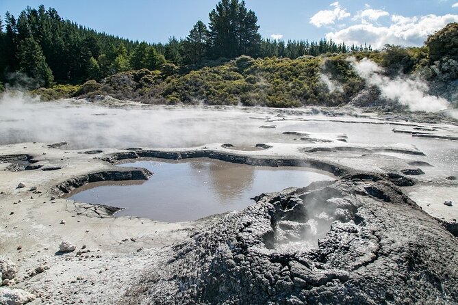 Tauranga Shore Excursion: Rotorua Hells Gate Experience - Customer Feedback
