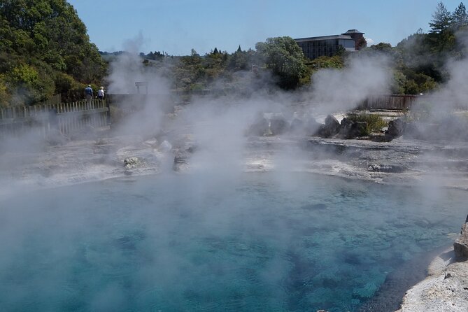 Tauranga Shore Excursion: Rotorua Highlights - Meeting Point and Departure