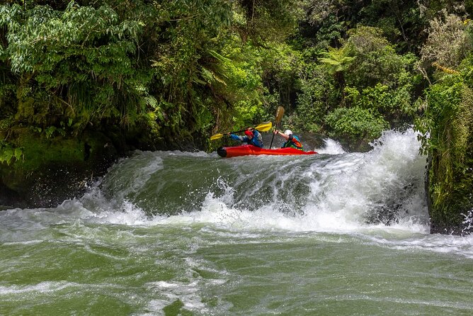 Tauranga Shore Excursion: Rotorua Highlights - Tour Inclusions