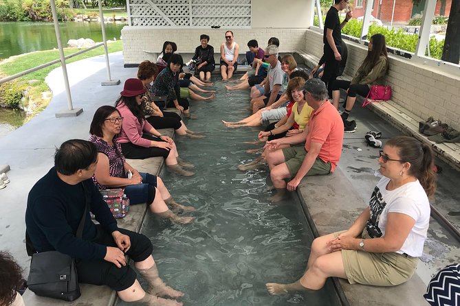 Tauranga Shore Excursion: Rotorua Tour Including Gondola Ride and Fun Luge (Opt) - City Tour and Return Journey