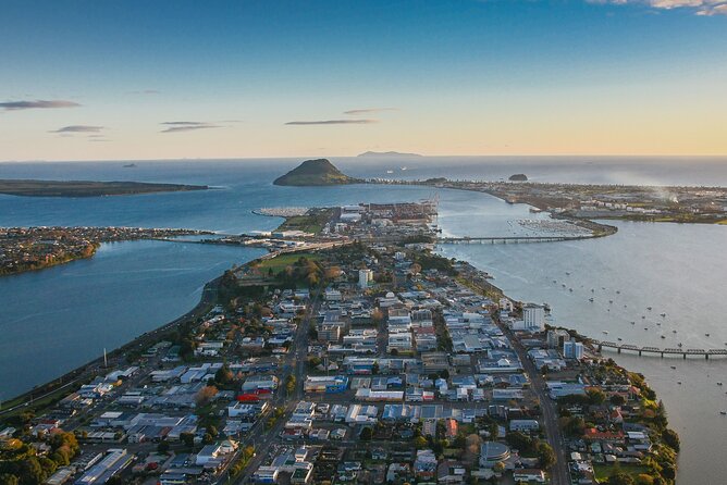 Tauranga Shore Excursion: Small-Group Bay of Plenty and Tauranga Tour - Reviews and Feedback