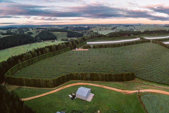 Tauranga Shore Excursion: Small-Group Bay of Plenty and Tauranga Tour - Kiwifruit Country Exploration