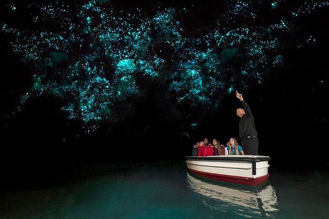 Tauranga Shore Excursion: Waitomo Caves and The Kiwi House - Highlights of the Excursion