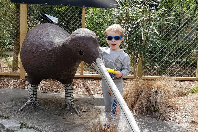 Tauranga Shore Excursion: Waitomo Caves and The Kiwi House - Transportation and Logistics