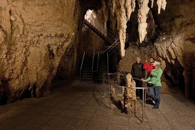 Tauranga Shore Excursion: Waitomo Caves and The Kiwi House - Customer Feedback and Reviews