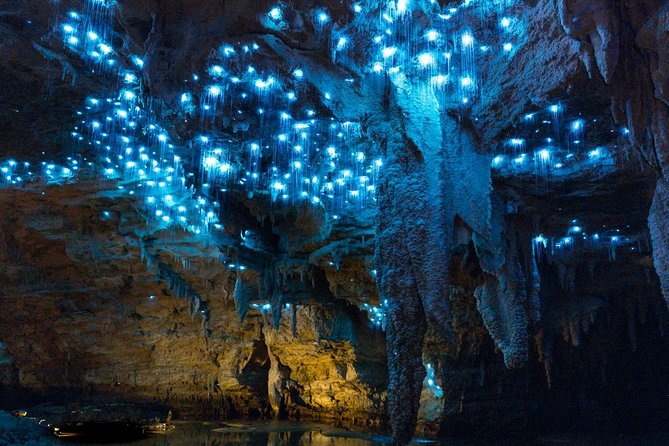 Tauranga - Waitomo : Ancient Glow-Worm Caves Shore Excursion - Meeting and Pickup