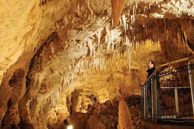 Tauranga - Waitomo : Ancient Glow-Worm Caves Shore Excursion - Customer Feedback