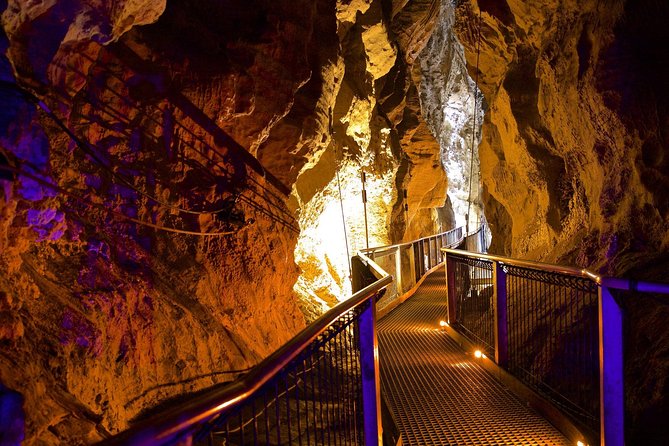 Tauranga - Waitomo : Ancient Glow-Worm Caves Shore Excursion - Confirmation and Booking