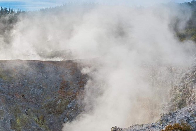Tauranga - Wia O Tapu Wonderland & Rotorua Geysers: Private Tour - Inclusions and Exclusions