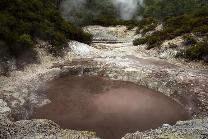 Tauranga - Wia O Tapu Wonderland & Rotorua Geysers: Private Tour - Explore Taurangas Wia O Tapu Wonderland