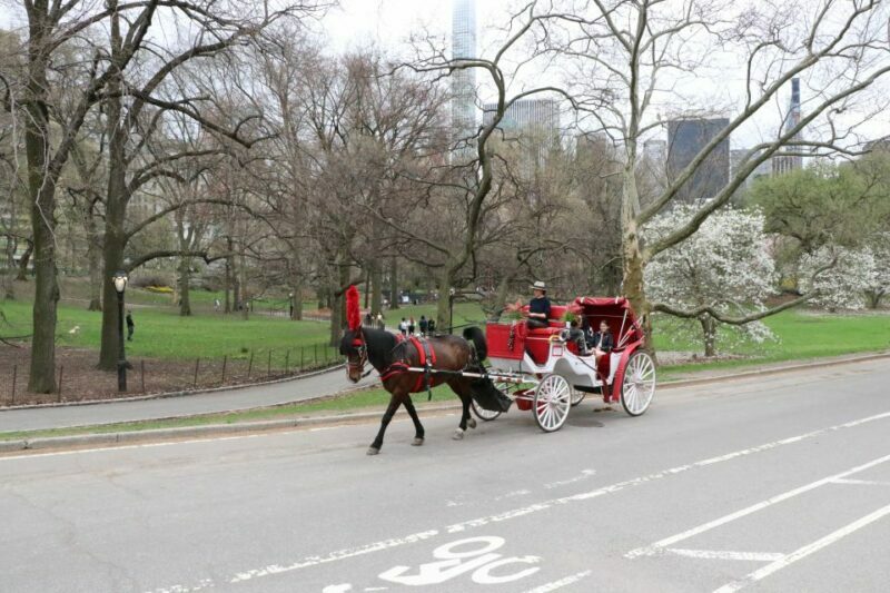 Tavern on the Green PickUp&DropOff With Horse Carriage Ride - FAQ