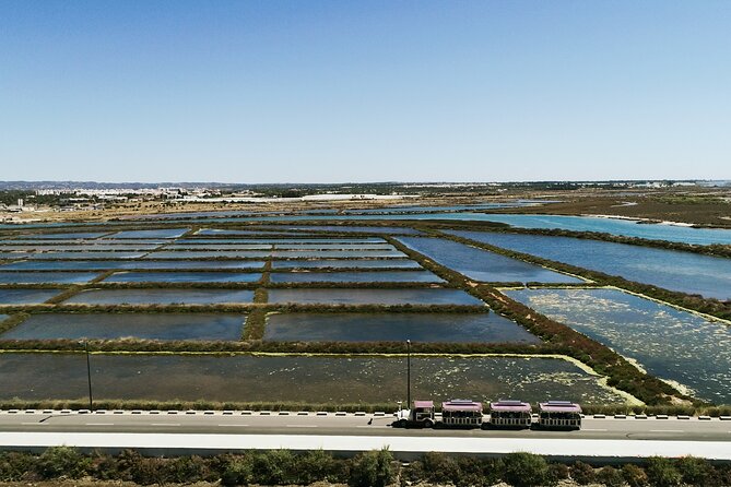 Tavira Hop On Hop Off City Tour by Tourist Train - Customer Experiences and Feedback