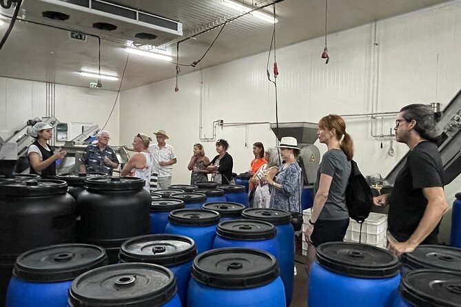 Tavira Olive Experience Factory Tour and Tasting - Included in the Tour