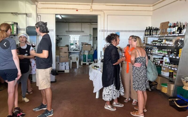Tavira: Olive Experience With Factory Tour and Tasting - Tasting Offerings and Pairings