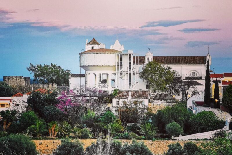 Tavira Total Tuk Tuk Tour: Tavira Tour & Tuna Museum Visit - Customer Reviews
