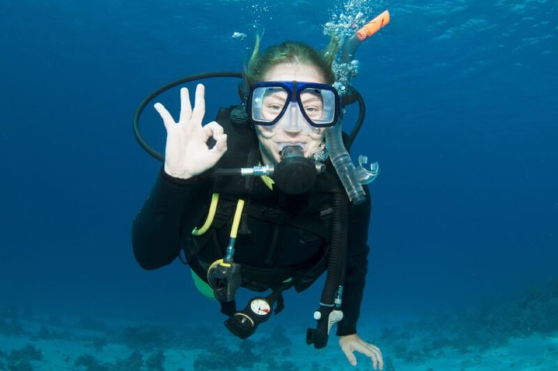 Tavolara and Molara Private Snorkeling and Diving Tour - Experience Highlights