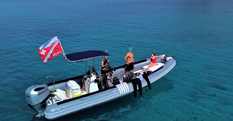 Tavolara and Molara Private Snorkeling and Diving Tour - Tour Itinerary