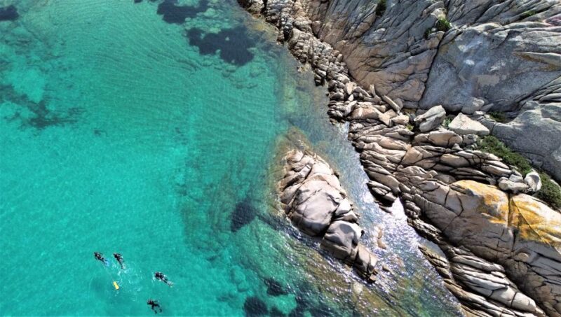 Tavolara and Molara Private Snorkeling and Diving Tour - Inclusions and Equipment