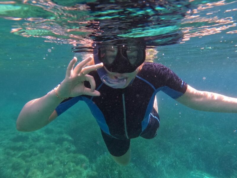Tavolara and Molara Private Snorkeling and Diving Tour - Important Information