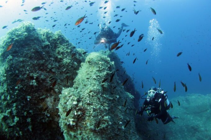 Tavolara and Molara Private Snorkeling and Diving Tour - Cancellation and Refund Policy