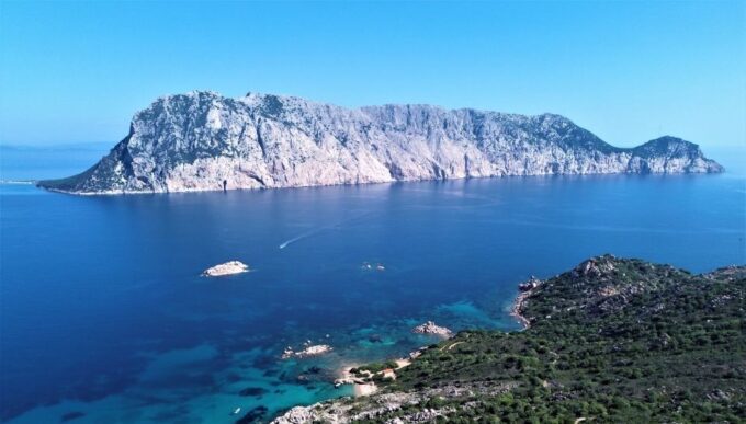 Tavolara and Molara Private Snorkeling and Diving Tour - Group Size and Capacity