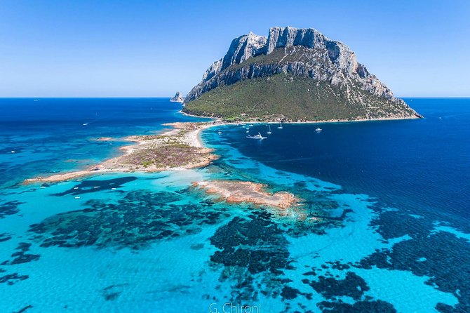 Tavolara Boat Tour and Snorkeling - Snorkeling Experiences
