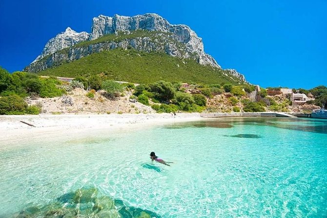 Tavolara Boat Tour and Snorkeling - Important Considerations