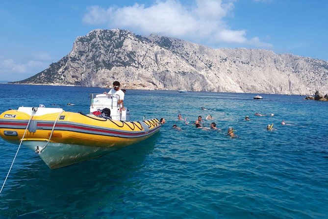 Tavolara Marine Protected Area Snorkeling - Booking Confirmation
