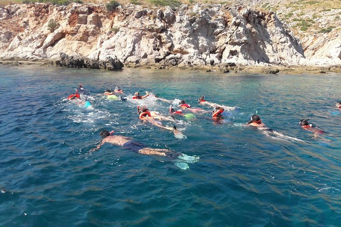 Tavolara Marine Protected Area Snorkeling - Group Size and Composition