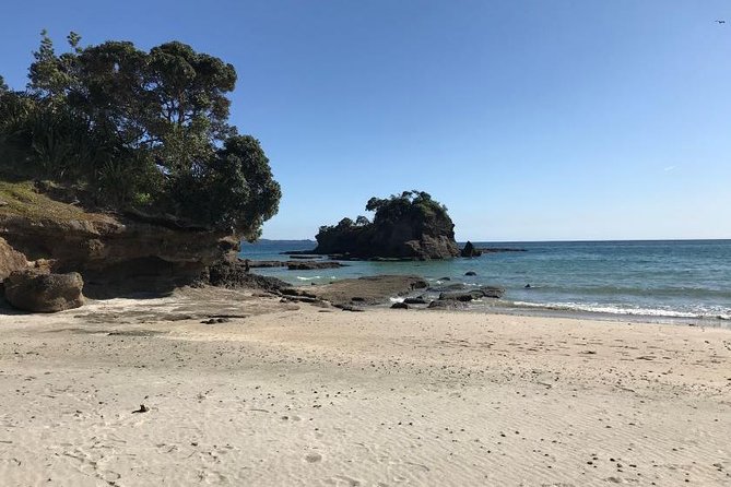 TāWharanui- Get Away From It All and Experience New Zealand at Its Best - Private Tour - Tour Participation
