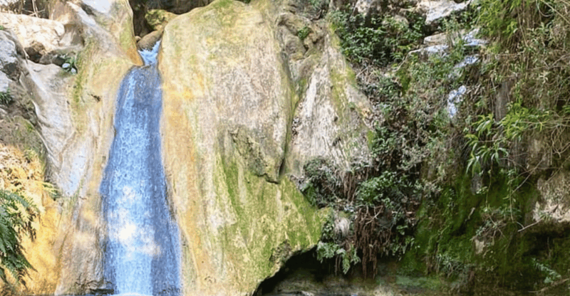 Taxco: Adventure Through Pozas Azules (Ameyalli) - Key Points