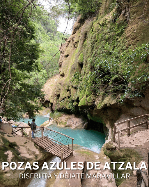 Taxco: Adventure Through Pozas Azules (Ameyalli) - Highlights and Activities