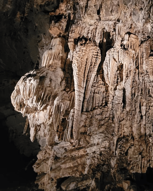 Taxco: Journey Through Cacahuamilpa Caves - Sights and Experiences