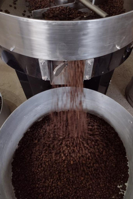 Taxco: Organic Coffee Garden Experience - Coffee Cultivation Experience