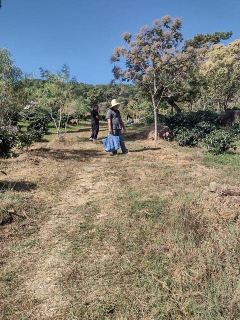 Taxco: Organic Coffee Garden Experience - Frequently Asked Questions
