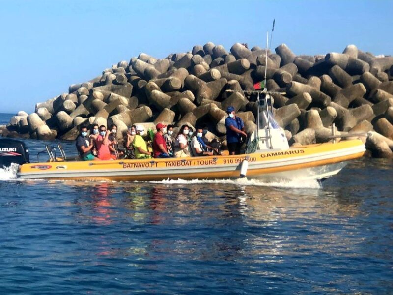 Taxi Boat Beach Ribeiro Do Horse - Things to Bring and Consider